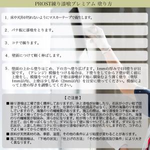 送料無料!練り漆喰プレミアム ピュアホワイト ...の詳細画像5