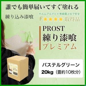 送料無料！練り漆喰プレミアム パステルグリーン 20kg（畳10枚分 16.5m2）/PROST 練済み漆喰 日本製 左官 塗り壁 漆喰 ペイント 漆喰リノベ 漆喰壁