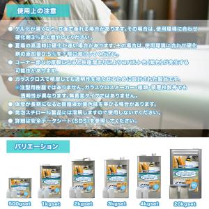 PROST サーフボードレジン 500g (ノ...の詳細画像5