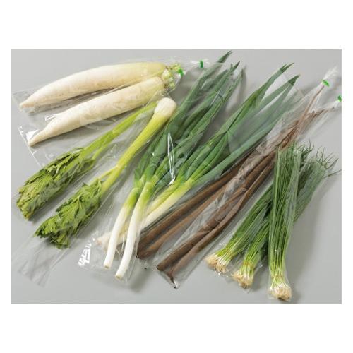 生き生きパック #20 180×500mm 長物10号-500 2穴 プラマーク入り 1ケース600...