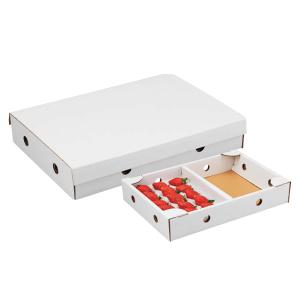 法人名・屋号必須】大石産業 いちご販売用容器 ゆりかーごEタイプ 15玉