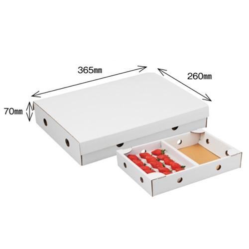 ゆりかーごE 紙箱 横2個箱 白BF 50P 260×365×70mm 1ケース50枚入 大石産業 ...