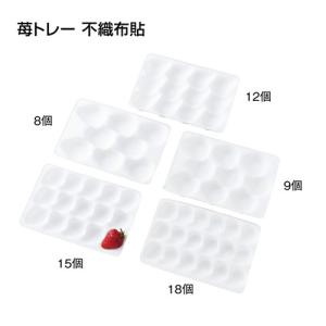イチゴ用ホールトレー アイベリークッション 8穴 白 235×167mm 1ケース 