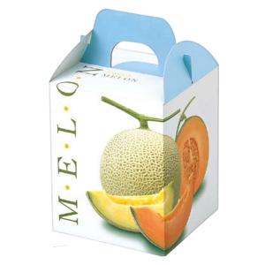 ヤマニパッケージ メロン箱 L-2169 パラディスメロン 1ヶ入手提 台紙付