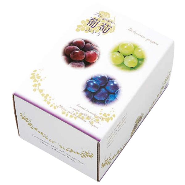 オリカ ぶどう箱 3色ブドウ 1kg 220×160×135mm 1ケース50セット入り