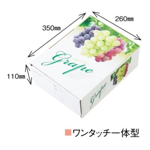 ぶどう箱 高級ぶどう A-4T 三色 370×280×115mm 1ケース50セット入り