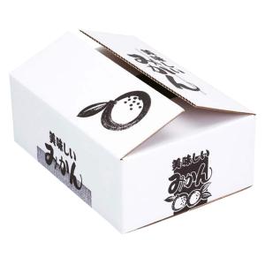 ヤマニパッケージ みかん箱 L-2397 みかん 3kg 300×200×110mm 1ケース