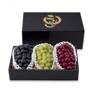 ヤマニパッケージ ぶどう箱 L-2395 ぶどうの里 手提 60サイズ(小) 225