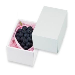 ヤマニパッケージ ぶどう箱 L-2518 フレッシュぶどうの贈り物 深口 3kg