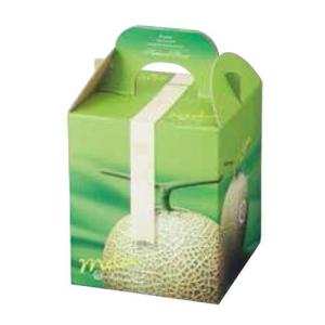 ヤマニパッケージ メロン箱 L-2169 パラディスメロン 1ヶ入手提 台紙付