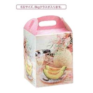 ヤマニパッケージ メロン箱 L-61 イラストメロン 1ケ入 150×150×195mm