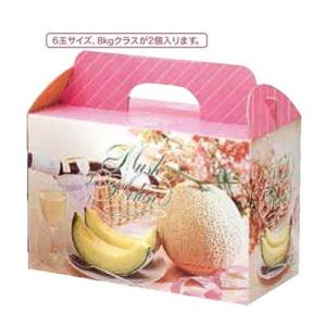 ヤマニパッケージ メロン箱 L-2169 パラディスメロン 1ヶ入手提 台紙付