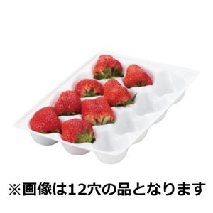 イチゴ用ホールトレー アイベリークッション 8穴 白 235×167mm 1ケース 