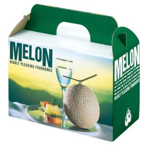 ヤマニパッケージ メロン箱 L-2169 パラディスメロン 1ヶ入手提