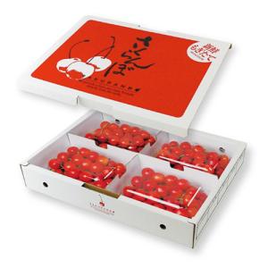 さくらんぼ ヤマニパッケージ さくらんぼ箱 L-2520FS さくらんぼ400g FS 179.5×257