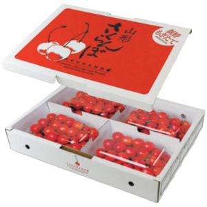 ヤマニパッケージ さくらんぼ箱 L-8129 さくらんぼディスプレー500g