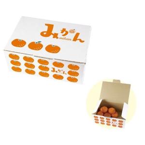 ヤマニパッケージ みかん箱 L-2061 美果 2kg 200×160×160mm 1ケース100