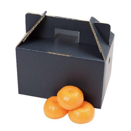 みかん箱 L-2062 美果 3kg 250×160×160mm 1ケース100枚入 ヤマニパッケー...