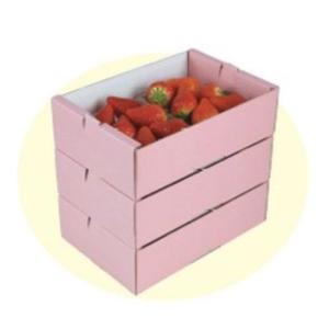 ヤマニパッケージ いちご箱 L-2069P イチゴ2Pサービス箱 ピンク 232