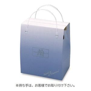 ヤマニパッケージ 返礼品用手提箱 BT-75B セレモニーBOX グリーン 222