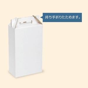 ジュース瓶用ギフト箱）ジュース1リットル×2本/40枚入（EE-22B） : 箱