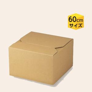 ヤマニパッケージ 缶ビール箱 K-1570FSR ハンディケース 350ml 3本FSR