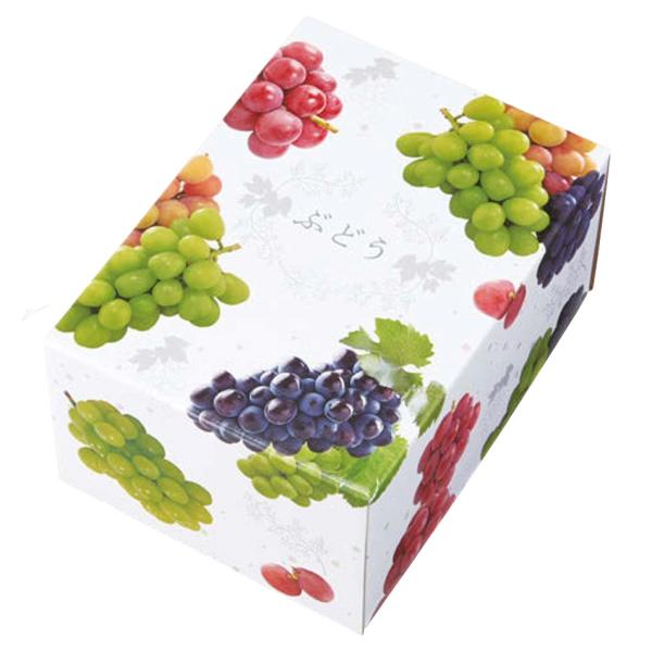 ぶどう箱 3色ブドウC式 1.5kg 240×175×130mm 1ケース50セット入り オリカ