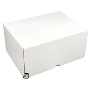 信和 メロンの箱 ハンドグリーンメロン2個用 320×165×280mm 1ケース50