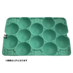 モウルドトレイ 033085 梨 5K用 5H 緑 460×305mm 1ケース50枚入 日本モウルド工業 フルーツ用トレー なしトレー