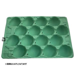 モウルドトレイ 033624 西洋梨トレイ 24H 緑 480×336mm 1ケース50枚入 日本モウルド工業 フルーツ用トレー なしトレー