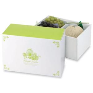 ヤマニパッケージ メロン箱 L-2169 パラディスメロン 1ヶ入手提 台紙付