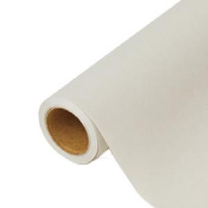 花用 ラッピングペーパー パリ 47 シダーキー 65cm×15m巻 1ケース20本入 336427 星野 PARIS