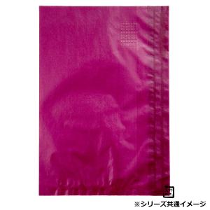 フラットバッグ レーズン 15 16号 160×230mm 1ケース2000枚入 314335 星野 Flat Bag 平袋 花用 果実用