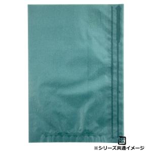 フラットバッグ レーズン 16 16号 160×230mm 1ケース2000枚入 314336 星野 Flat Bag 平袋 花用 果実用