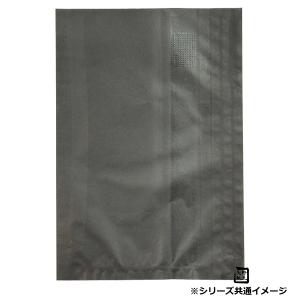 フラットバッグ レーズン 20 16号 160×230mm 1ケース2000枚入 314340 星野 Flat Bag 平袋 花用 果実用