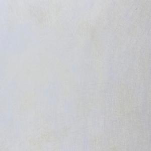 フルーツ用 パティIII 敷紙 パープル 200×200 1包1500枚入 オリカ ポジティブリスト対応 パディ3 りんご 桃 梨 ぶどう