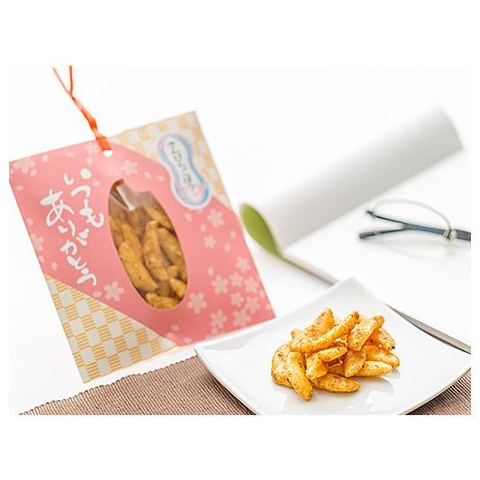 感謝のしおり 月の種 きんぴらごぼう（25g）