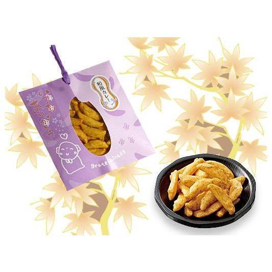 感謝のしおり 月の種 和風カレー（25g）