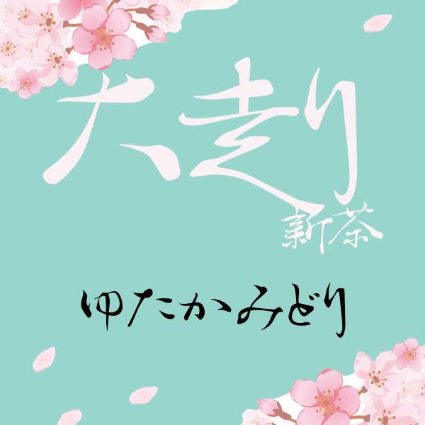 江戸時代創業　宝和園のゆたかみどり100グラム　2024年　新茶