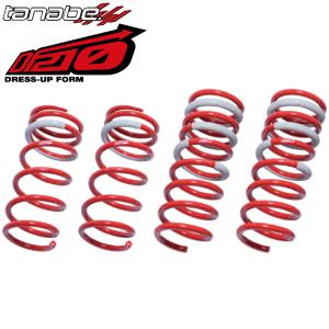 タナベ サスペンション DF210ダウンサス 1台分 アルトラパン DBA-HE22S K6A 08/11〜 2WD車専用 FF NA  HE22SDK｜オプショナル豊和