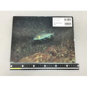 平凡社 本 アユ 日本の美しい魚 内山りゅう ...の詳細画像1