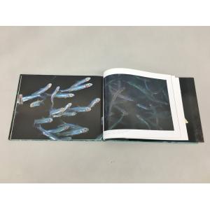 平凡社 本 アユ 日本の美しい魚 内山りゅう ...の詳細画像4