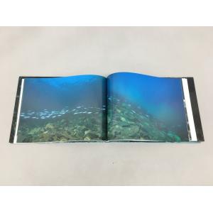 平凡社 本 アユ 日本の美しい魚 内山りゅう ...の詳細画像5