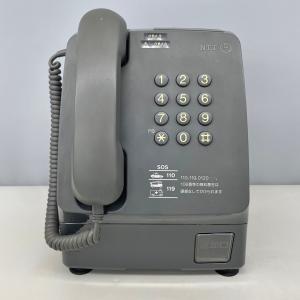 PてれほんE NTT 特殊簡易公衆電話 PT-...の詳細画像1