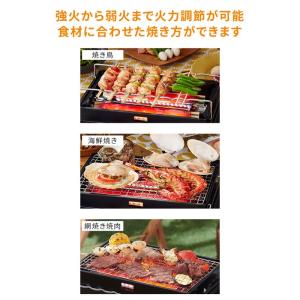 イワタニ カセットガス 炉ばた焼器 炙りやII...の詳細画像3