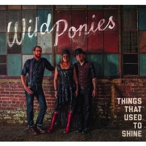 ワイルド・ポニーズ Wild Ponies  /  シングス・ザット・ユースト・トゥ・シャイン｜hoyhoy-records