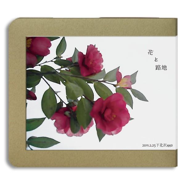 花と路地 / 2011.02.25 / 440 ：ホイホイレコードだけ販売