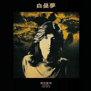 野澤享司 Kyoji Nozawa / 白昼夢：CDプラケ｜hoyhoy-records