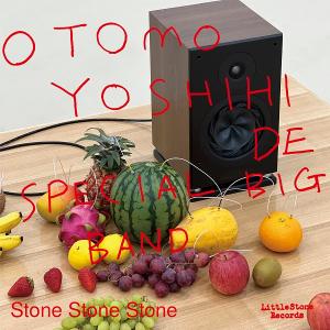 大友良英スペシャルビッグバンド / Stone Stone Stone ：CD｜hoyhoy-records