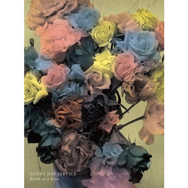 サニーデイ・サービス / Birth of a Kiss：DVD